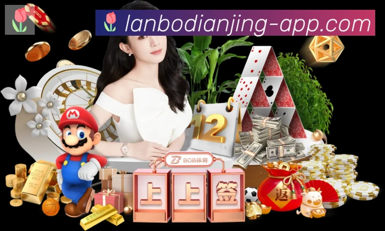 登录器